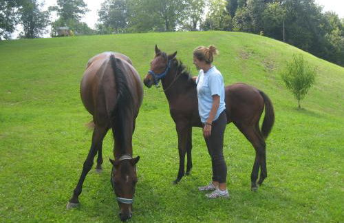 Antico fienile - Foto 122