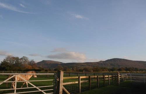 Byre Cottagesnr Stokesley - Photo 12
