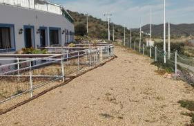 Paisagem do Guadiana Turismo Rural - Foto 25