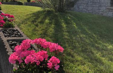 Westerwald Apartments - Das große Ferienhaus, zentral und ruhig, einfach gut! - Foto 19