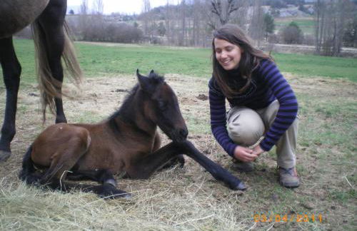 Albergue Casa Fumenal - Foto 35