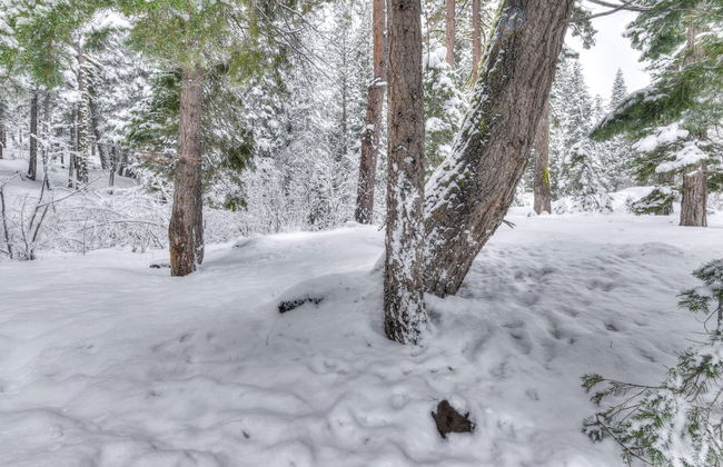 Granlibakken Retreat Near Tahoe Beach! - Photo 26