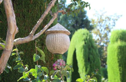 El jardín de la abuela - Foto 27