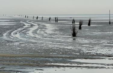 Ferienwohnung Strandnah - Foto 28