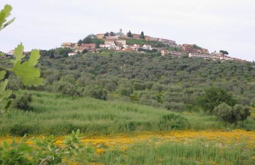 Agriturismo Vigna Mai - Foto 22