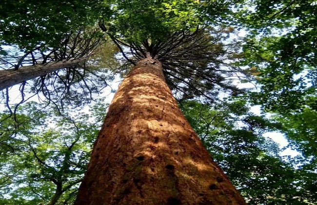 Chalet in Wendorf - Foto 31