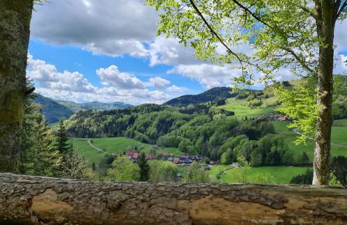 Haus Föhrenbach - Foto 18