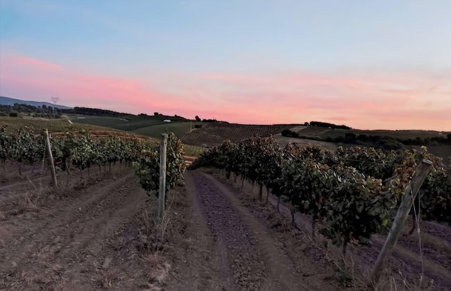 Cozy Vacation Rental in Peaceful Peral, Portugal - Photo 18