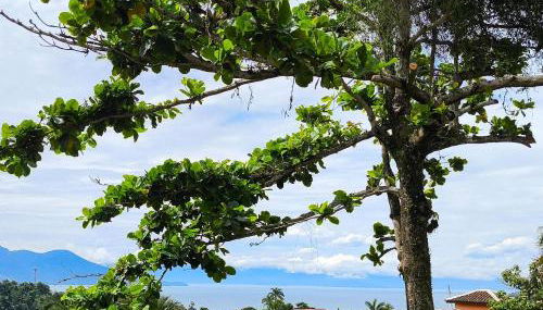 Chalé Completo Com Linda Vista para o Mar de Ilhabela 1 - Foto 2
