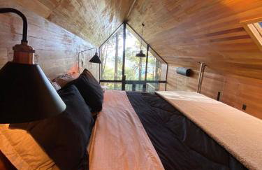 La negra - cabana entre araucárias - Foto 27