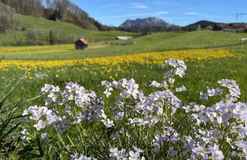 Fewo Längerer - Foto 18