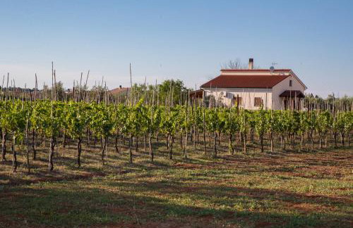 Uliveto Apartment - Foto 39