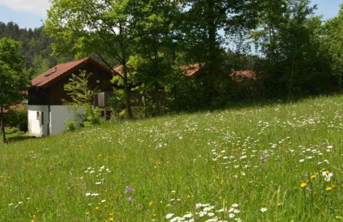 Apartment Appartement in Berghäuser mit Sonnigem Balkon by Interhome - Photo 22