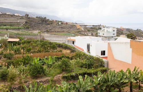 Live Icod Buen Paso - Foto 2