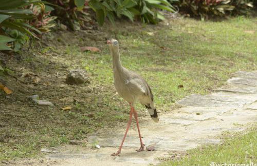 A Casinha Lumiar - Foto 39