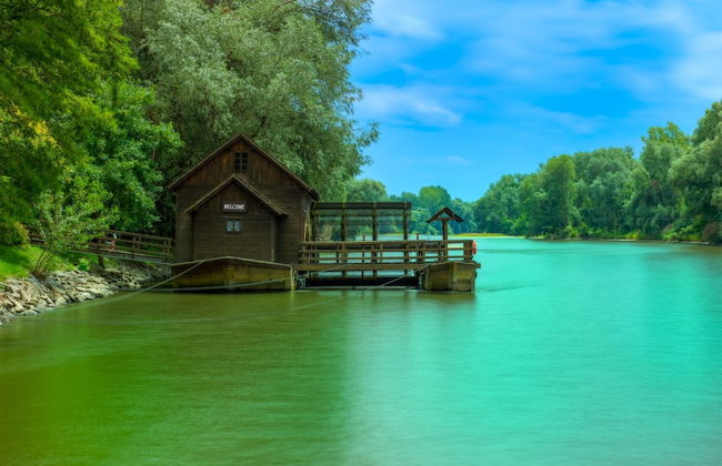 Ladybug House With Whirlpool - Foto 44