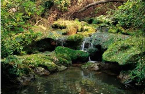 appartement, 3 chambres, vue panoramique, parking, accès ville - Foto 35