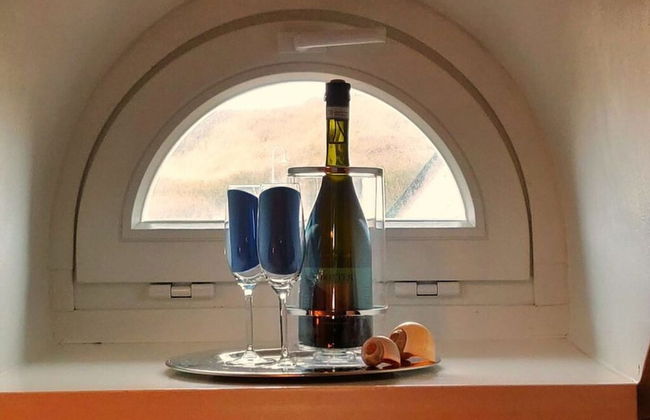 D Wilting in the House - Foto 12