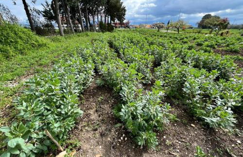 Casale Kintsugi - Foto 54