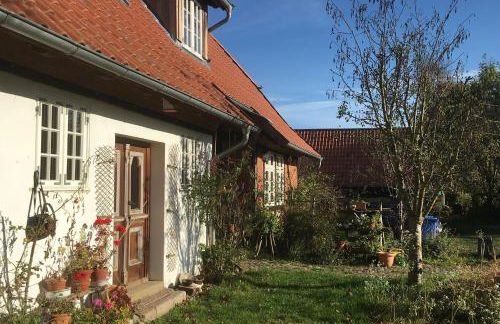 Ferienhof Rauchhaus - Foto 27