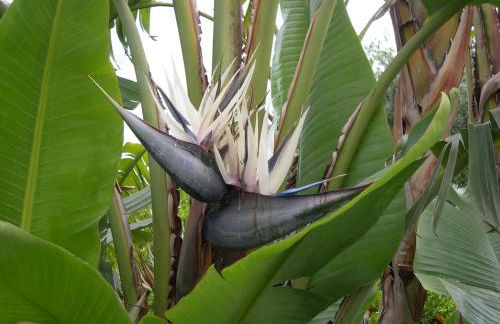 Residence Santa Maria Suites - Foto 52