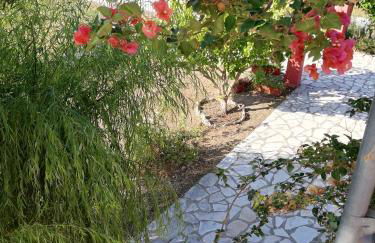 Anestis Studios - Foto 48