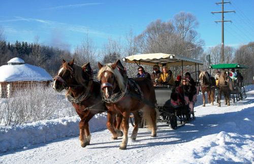 Apartmenthaus Weber - Foto 58