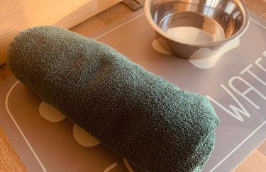 Walland Cottage Romney Retreat - Photo 18