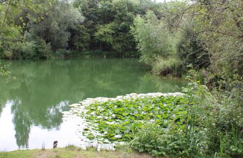 Lakeview Holidays - Foto 32