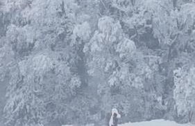 Ferienwohnung Moosegger - Foto 9