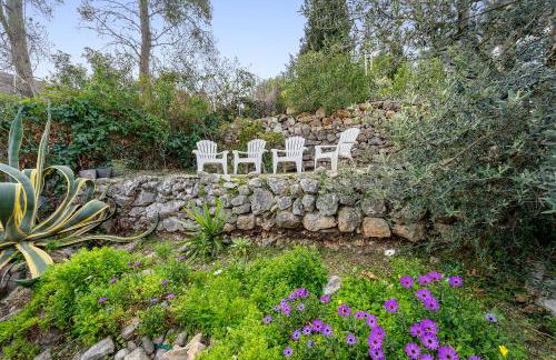 Valle de los sueños - Foto 30