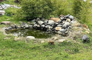 Tangerine Cottage - Foto 26