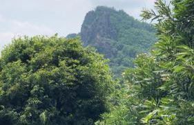 Lodge Villa Maria - Foto 33