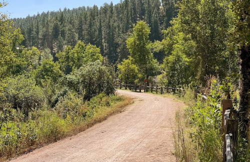 Hill City Haven Downtown Main Street - Foto 59