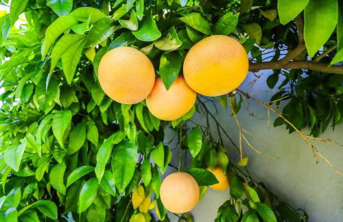 Amazing days Spa Pool Villa near Disney & Beaches - Foto 122