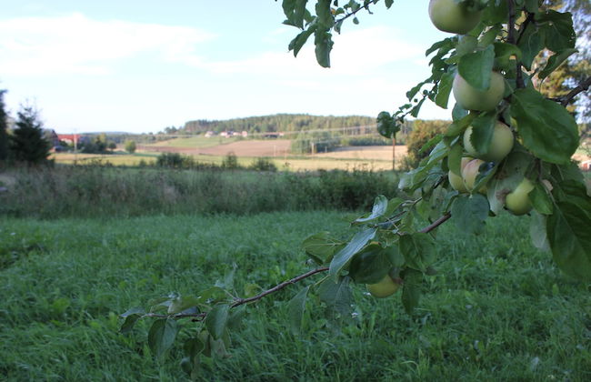 Happy Hudiksvall - Photo 53