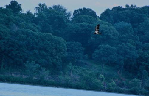 Hudson Riverfront Home - Foto 74