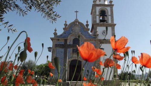 Douro - A Casinha da Ana - Foto 5