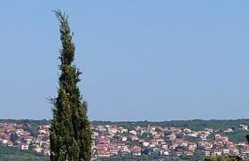 da Dorian room plus apartments - Foto 66