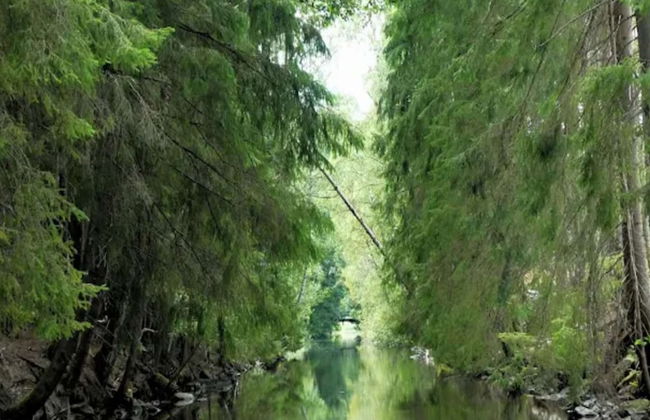 4 Person Holiday Home in Granna-by Traum - Photo 32