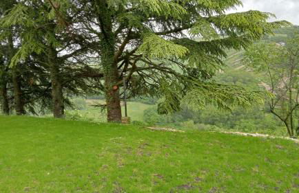 La lepre nella Luna - Foto 2