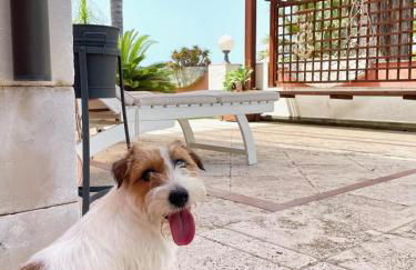 Villa Maris Capo Vaticano - Foto 11