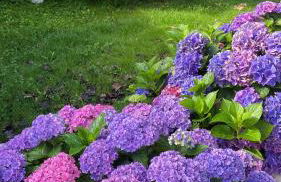 A la Colline de la bergerie - Foto 6