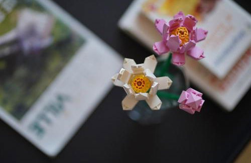 Topaze Duplex - Foto 22