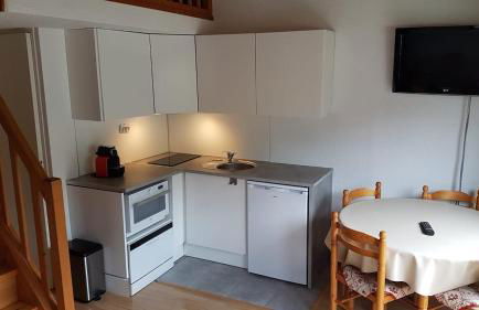 RED APPLE CARROZ Duplex de charme WIFI Parking Balcon TV Ski-Bus - Foto 4