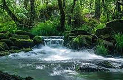 AREA PLAYA VIVEIRO APARTAMENTS , XOVE - Foto 30