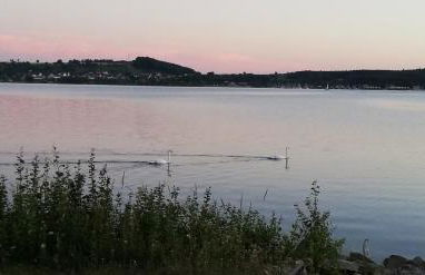 Ferienhaus "Kleine Auszeit" Parkstraße - Foto 51