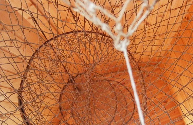 6 Person Holiday Home in Rebbenes - Photo 49