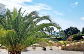 Sol Mediterráneo - Palm Beach 4 - Photo 16