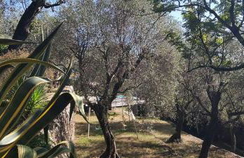 "La Colombe sous les Oliviers" Gîte jusqu'à 4 personnes - 75m2 - Sur Boooking - Rez de jardin Piscine Vue mer et lac - Foto 37